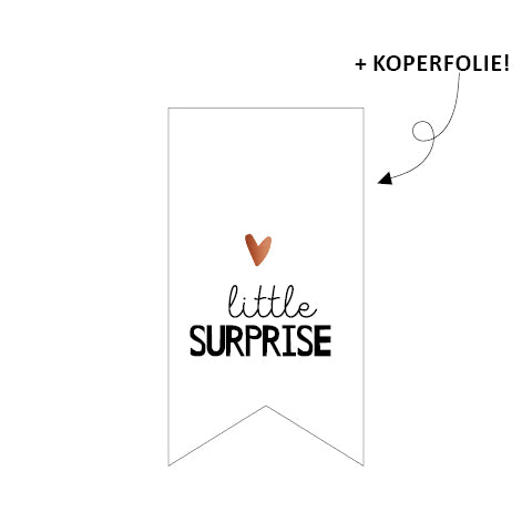 Sticker vaantje 30x55mm - Little surprise