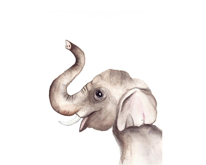 FRITSY - Kaart Olifant