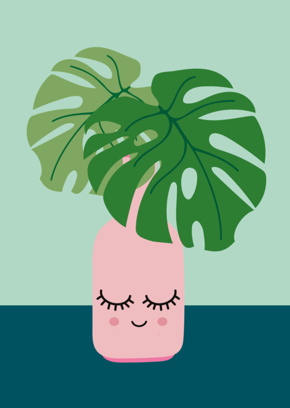 POSTKAART MONSTERA