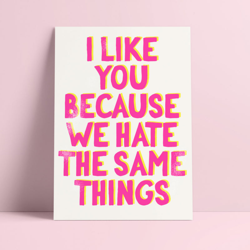 POSTKAART I LIKE YOU BECAUSE WE HATE THE SAME THINGS